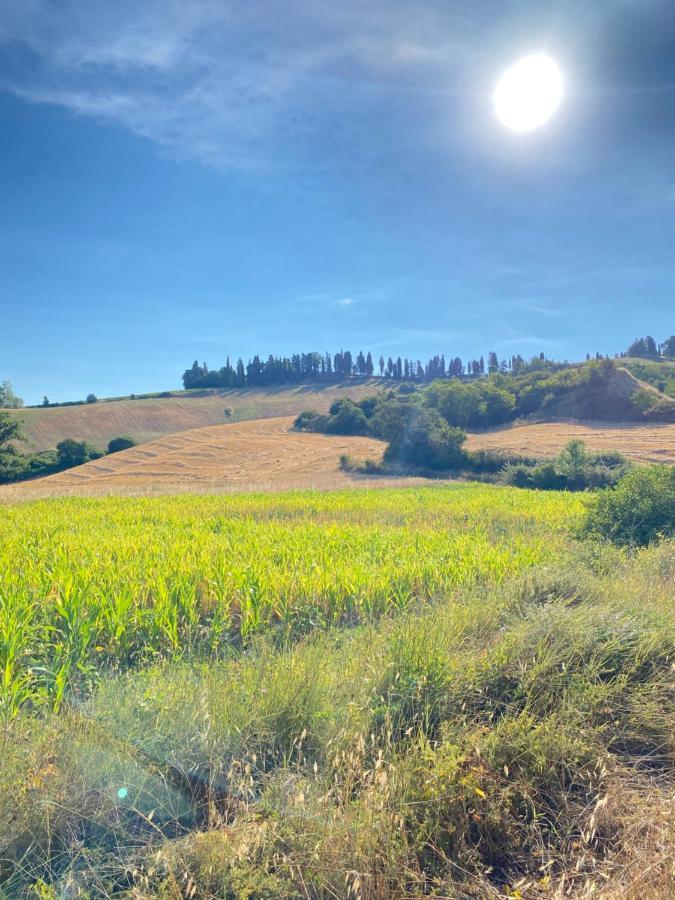 Peccioli Agriturismo I Moricci מראה חיצוני תמונה