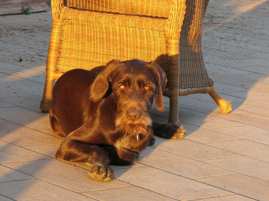 Peccioli Agriturismo I Moricci מראה חיצוני תמונה