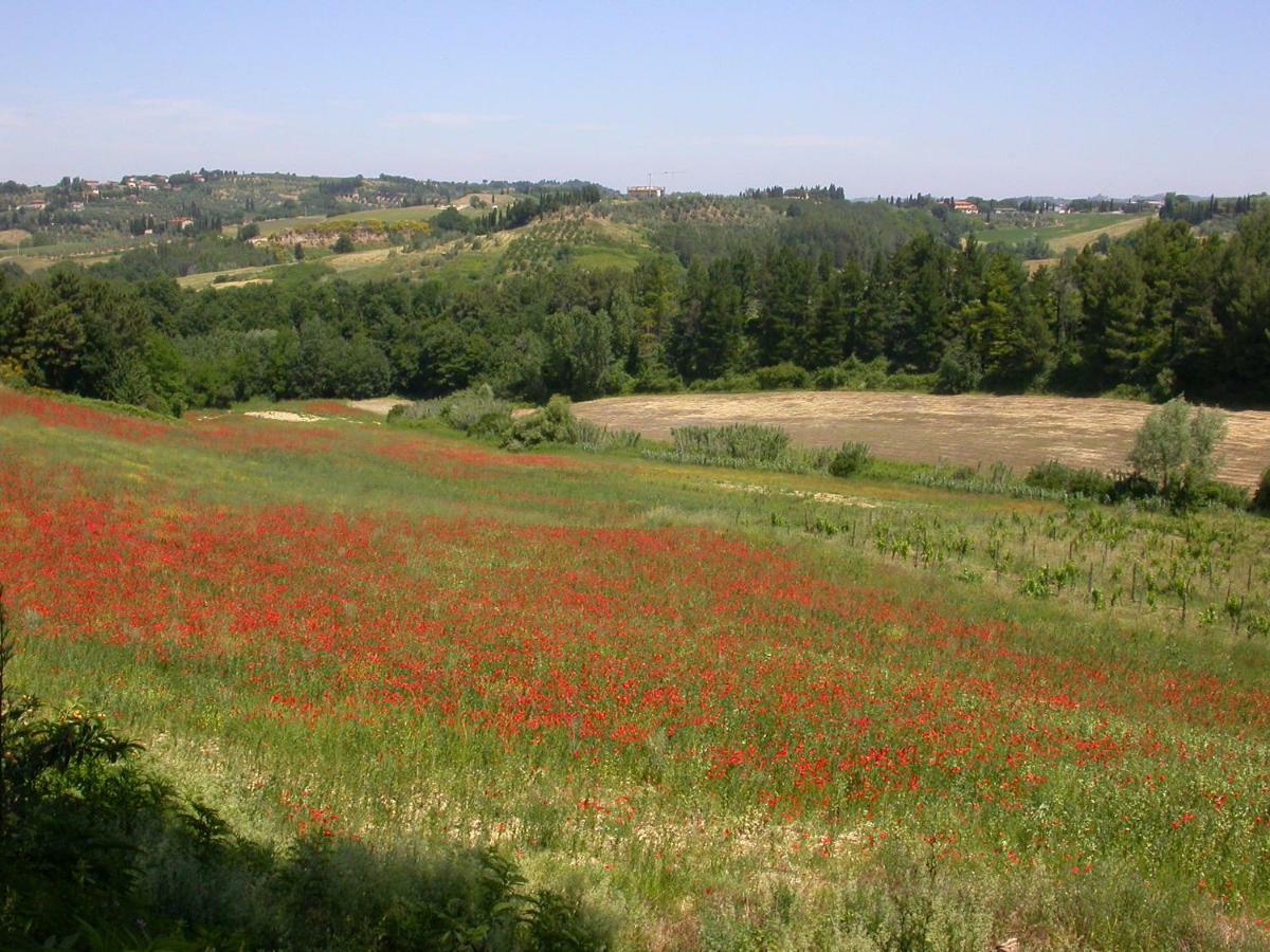 Peccioli Agriturismo I Moricci מראה חיצוני תמונה